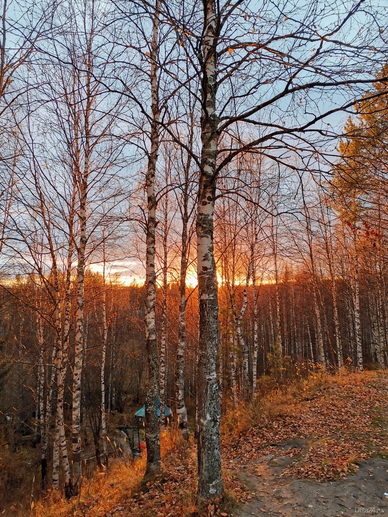 Фотография Родник на Зерюнова Фотографии Ухты